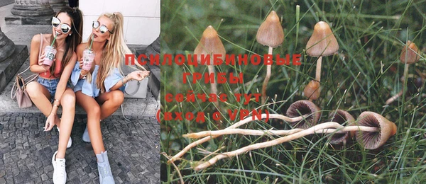 дурь Кулебаки