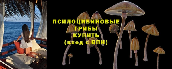 дурь Кулебаки