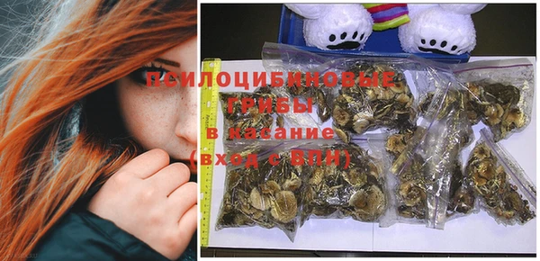 прущий лед Куйбышев