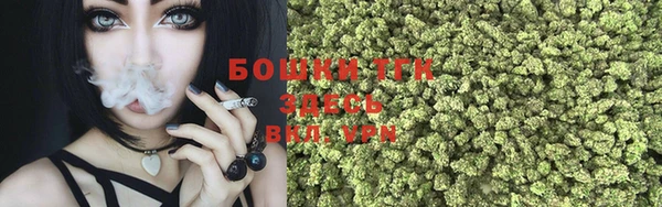дурь Кулебаки