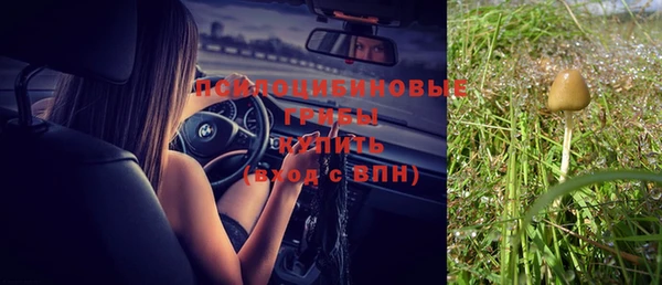 дурь Кулебаки