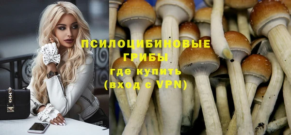 прущий лед Куйбышев