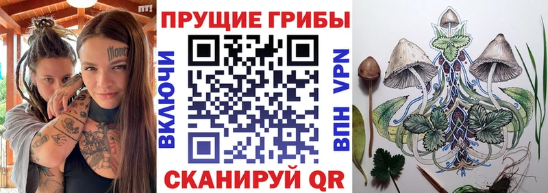 Псилоцибиновые грибы ЛСД  Купить закладки  Маркс 